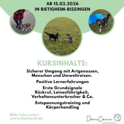 %{de_profession_title}-Offener Welpenkurs Bietigheim-Bissingen-Bild