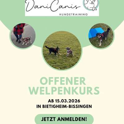 Giftköder-Offener Welpenkurs 
Bietigheim-Bissingen-Bild