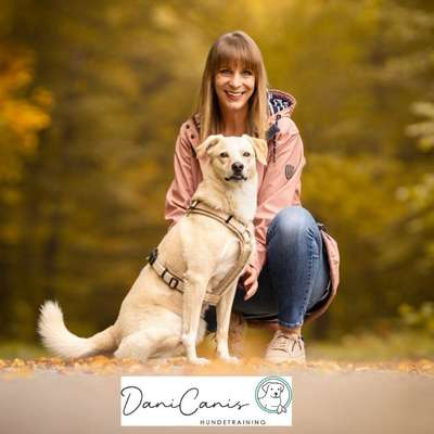 Hundeschulen-DaniCanis Hundetraining-Bild