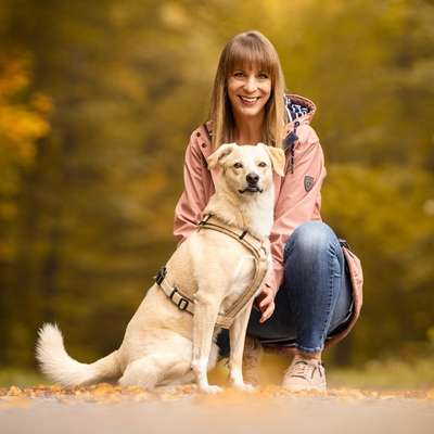 Hundeschulen-DaniCanis Hundetraining-Bild