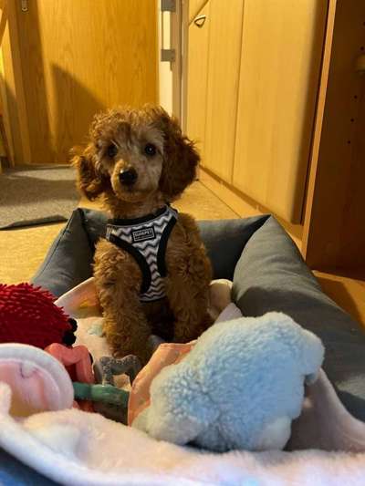 Erstes Bild-Beitrag-Bild