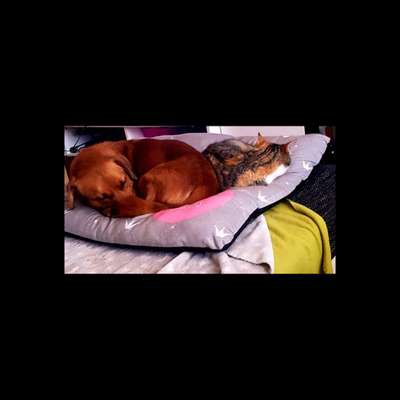 CHALLENGE Nr.17-Beitrag-Bild