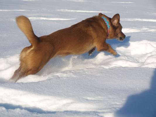 CHALLENGE Nr.17-Beitrag-Bild