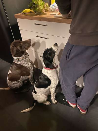 Pointer-Beitrag-Bild