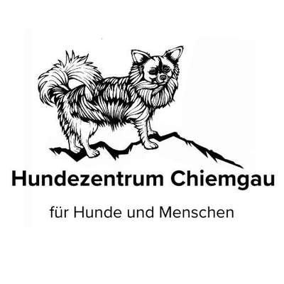Hundeschulen-Hundezentrum Chiemgau-Bild
