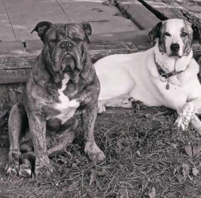 FarbenFoto - Challenge: Sepia-Beitrag-Bild