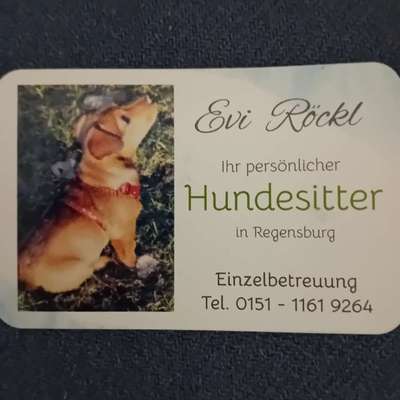 %{de_profession_title}-Hundesitten-Bild