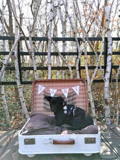 Fotochallenge No. 26                                     Wald und Wiese-Beitrag-Bild