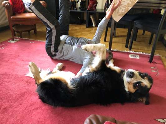 Fotosammlung: ,,Der natürliche Hund" Unbearbeitet, ungestellt und in Natura-Beitrag-Bild