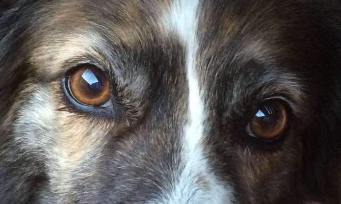 Blick fürs Detail!-Beitrag-Bild