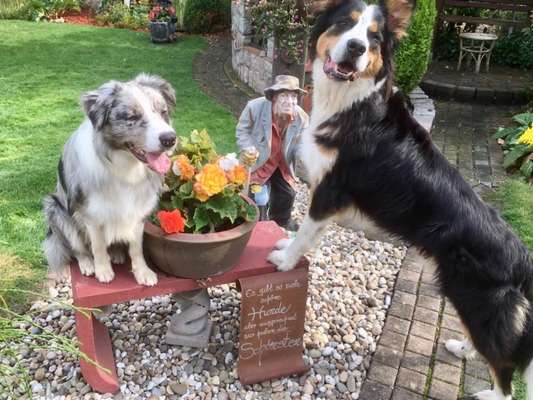 Zeigt eure Portraits-Beitrag-Bild