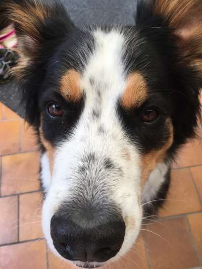 Fotochallange Nr. 57     PORTRÄT.   Beendet!!!!!!!!-Beitrag-Bild