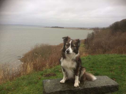 Fotochallenge Nr. 56 - geliebte Senioren-Beitrag-Bild