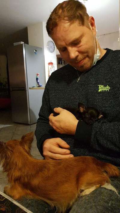 Welpen Bilder !-Beitrag-Bild