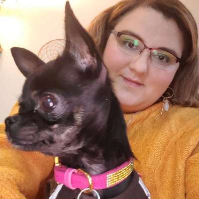 Hundetreffen-Spaziergänge