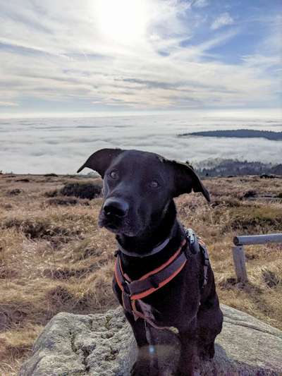 Fotochallange Nr. 57     PORTRÄT.   Beendet!!!!!!!!-Beitrag-Bild