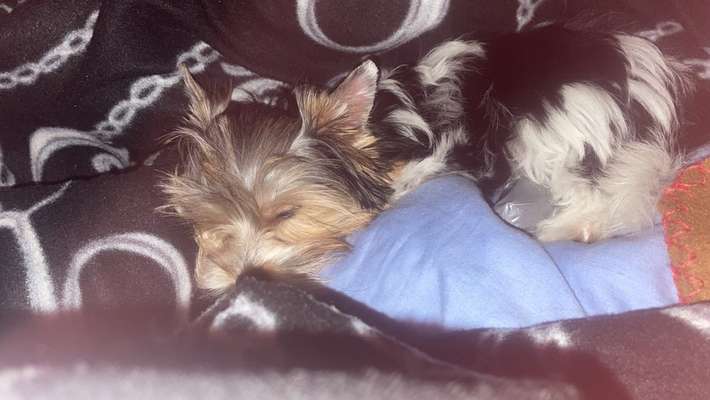 Foto Challenge Nr. 134-Beitrag-Bild