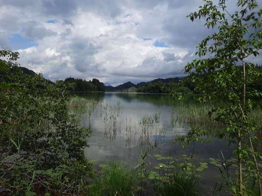 Campen Österreich-Beitrag-Bild