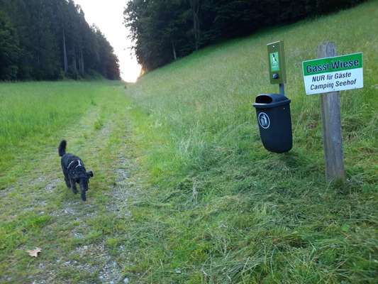 Campen Österreich-Beitrag-Bild