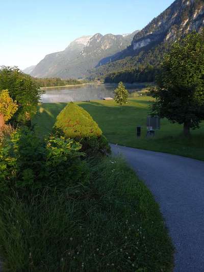 Campen Österreich-Beitrag-Bild