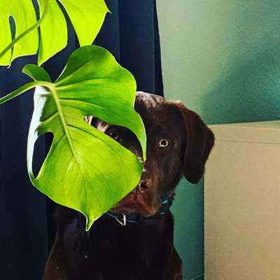 Challenge 21 - wo bin ich : )-Beitrag-Bild