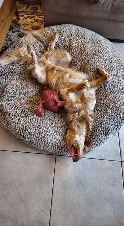 Die unbequemsten und lustigsten Schlafpositionen-Beitrag-Bild