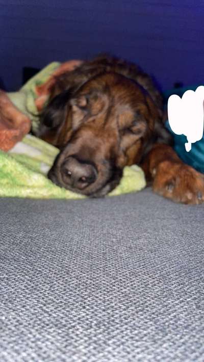 Foto Challenge Nr. 134-Beitrag-Bild