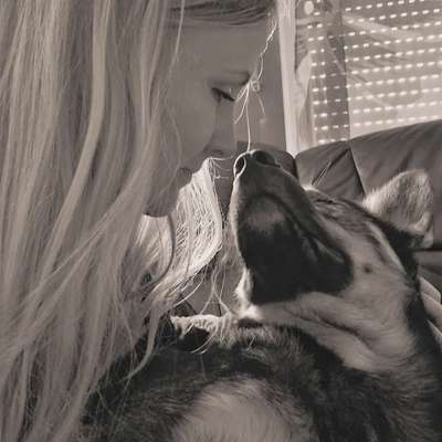 Hundetreffen-Whatsappgruppe Hundetreffen Dormagen