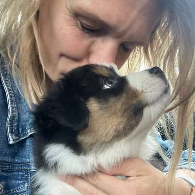Hundetreffen-Social Walk