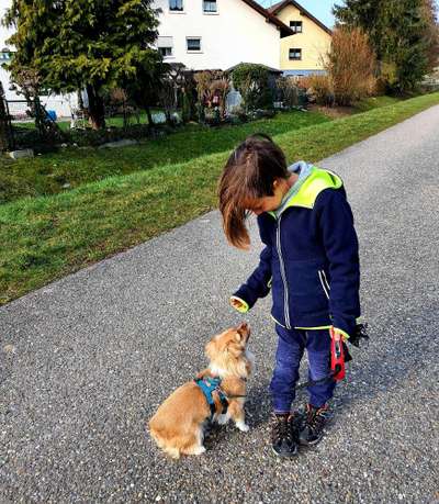 Dogorama Photo Challenge - Der Frühling kommt-Beitrag-Bild