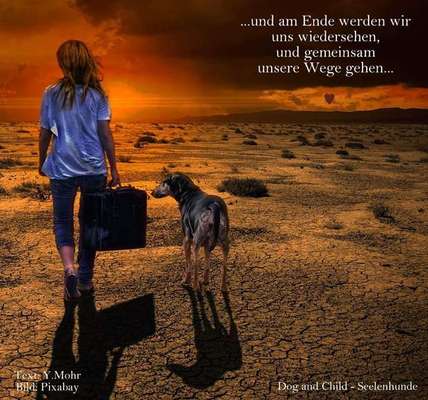 Lieblingsbild-Beitrag-Bild