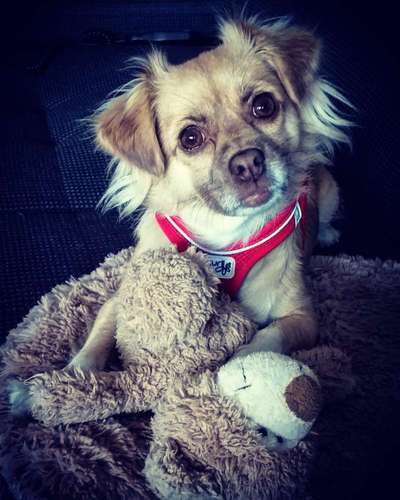 Lieblingsbild-Beitrag-Bild