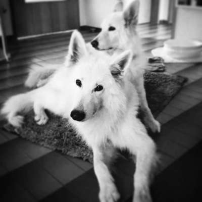 Lieblingsbild-Beitrag-Bild