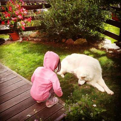 Dogorama Photo Challenge - Der Frühling kommt-Beitrag-Bild