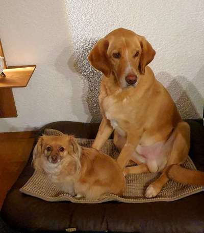 Lieblingsbild-Beitrag-Bild