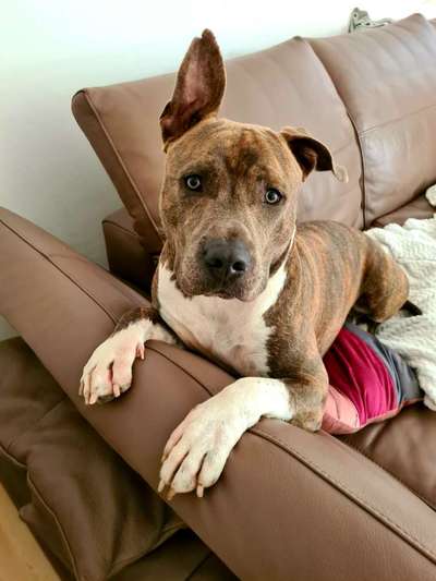 Fotochallange Nr. 57     PORTRÄT.   Beendet!!!!!!!!-Beitrag-Bild