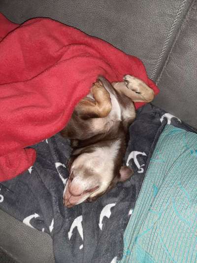 Die unbequemsten und lustigsten Schlafpositionen-Beitrag-Bild