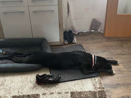 CHALLENGE NR. 34 - Liege-/Schlafpositionen-Beitrag-Bild