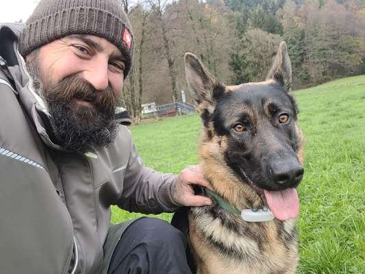 Hundetreffen-Gassigehen und quatschen-Bild