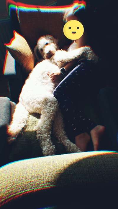 Ab-gehangen-Beitrag-Bild