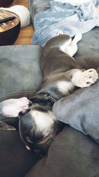 Ab-gehangen-Beitrag-Bild