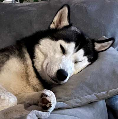 Zeigt eure Portraits-Beitrag-Bild