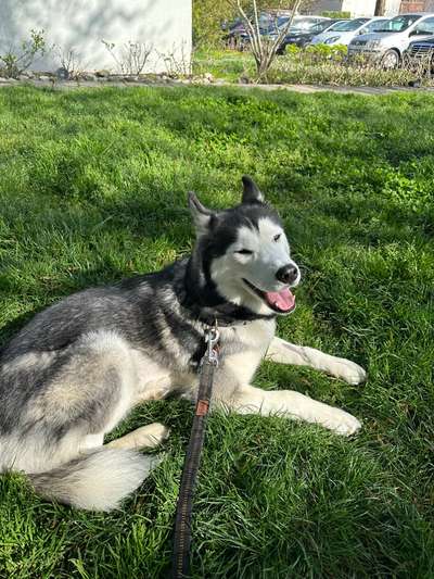 Lieblingsbild-Beitrag-Bild