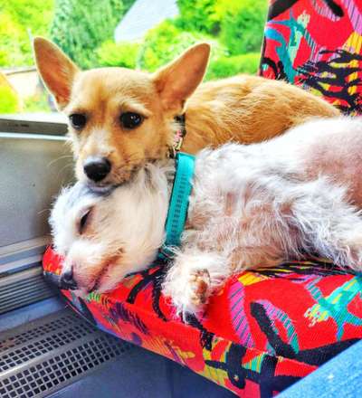 Lieblingsbild :D-Beitrag-Bild