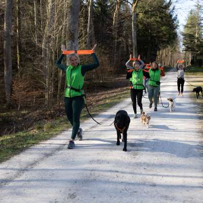 %{de_profession_title}-Gesund mit Hund-Bild