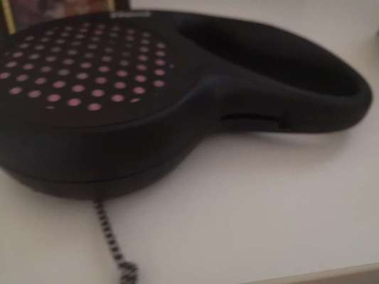 Leine und  Zubehör-Beitrag-Bild