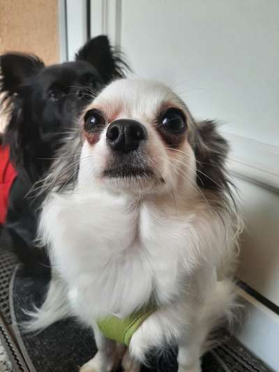 Fotochallange 84-Beitrag-Bild