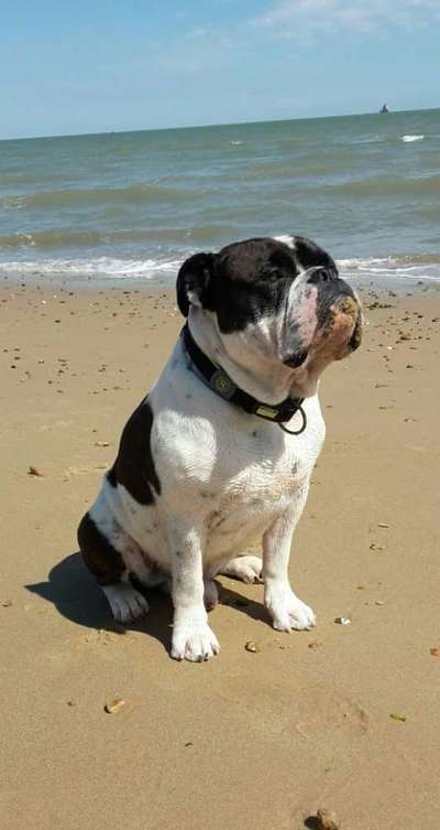 Fotochallenge Nr. 67: Euer Lieblingsbild-Beitrag-Bild