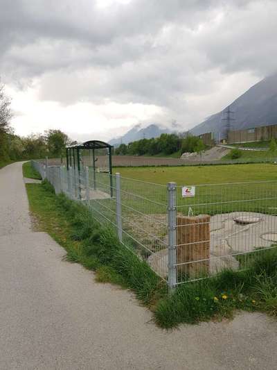 Hundeauslaufgebiet-Hundeplatz Jenbach-Bild