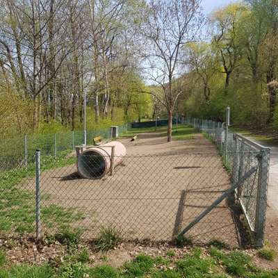 Hundeauslaufgebiet-Hundespielplatz Baggersee-Bild